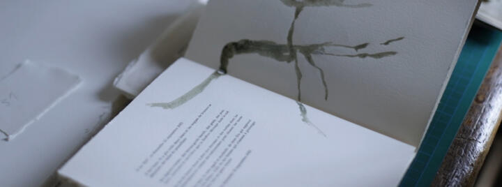 Photo-auteur jeunesse-Maureen Lasne